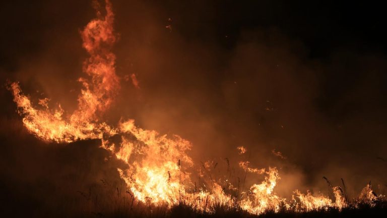Sicilya Adası'ndaki orman yangınları yerleşim yerlerini tehdit ediyor