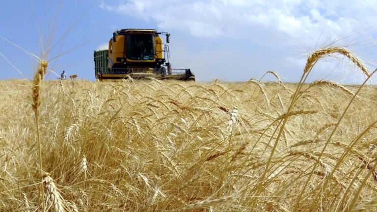 Tarımsal üretimde maliyeti azaltacak adımlar atılacak