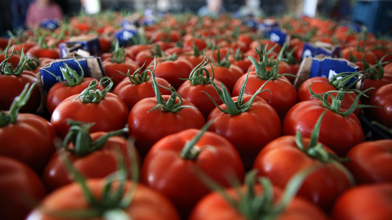 Yaş sebze ihracatı 9 ayda 822 milyon dolara ulaştı