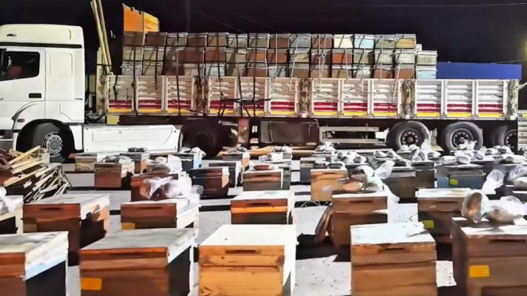 Hakkari'de arı kovanlarına gizlenmiş 91 kilogram uyuşturucu ele geçirildi