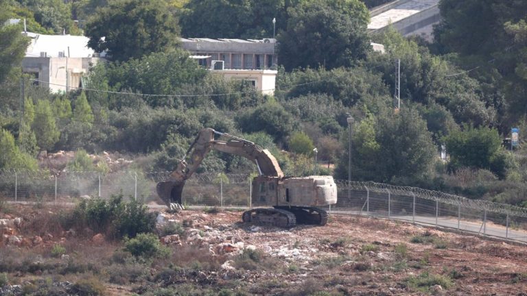 Soykırımcı İsrail, Batı Şeria'da zeytin hasadı yapan Filistinlileri koruyan aktivistleri sınır dışı etmeyi planlıyor